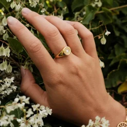 Holzkern Ringe|Schmuck^Pixa Ring