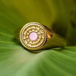 Holzkern Ringe|Schmuck^Pixa Ring