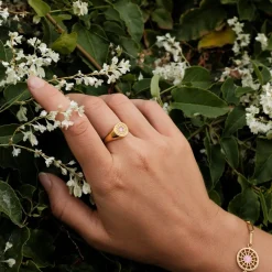 Holzkern Ringe|Schmuck^Pixa Ring