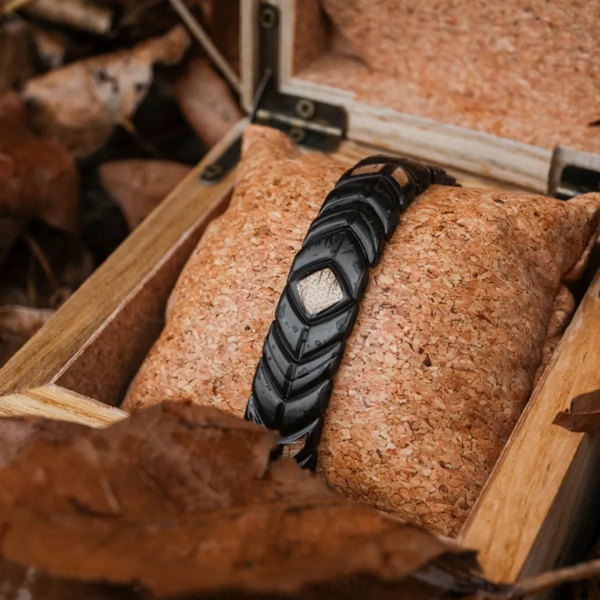 Holzkern Bandlets^Prelude
