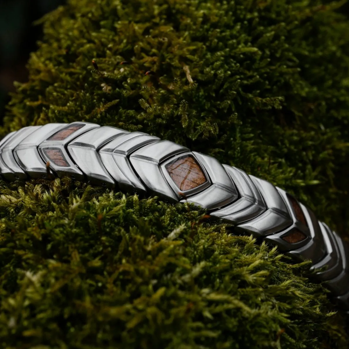 Holzkern Bandlets^Prelude