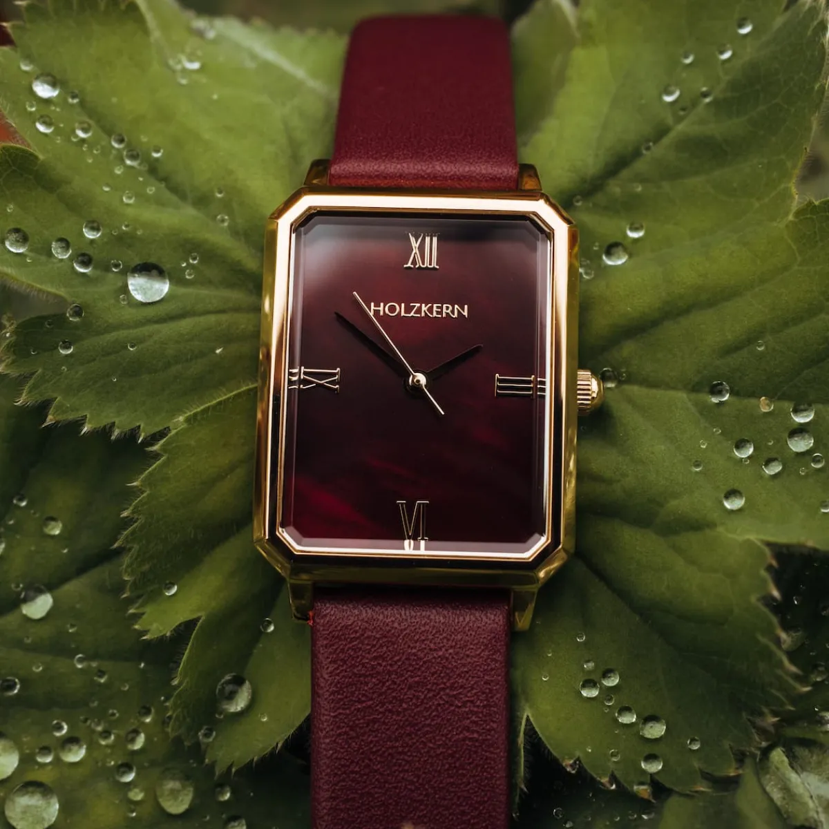 Holzkern Uhren^Prestigia