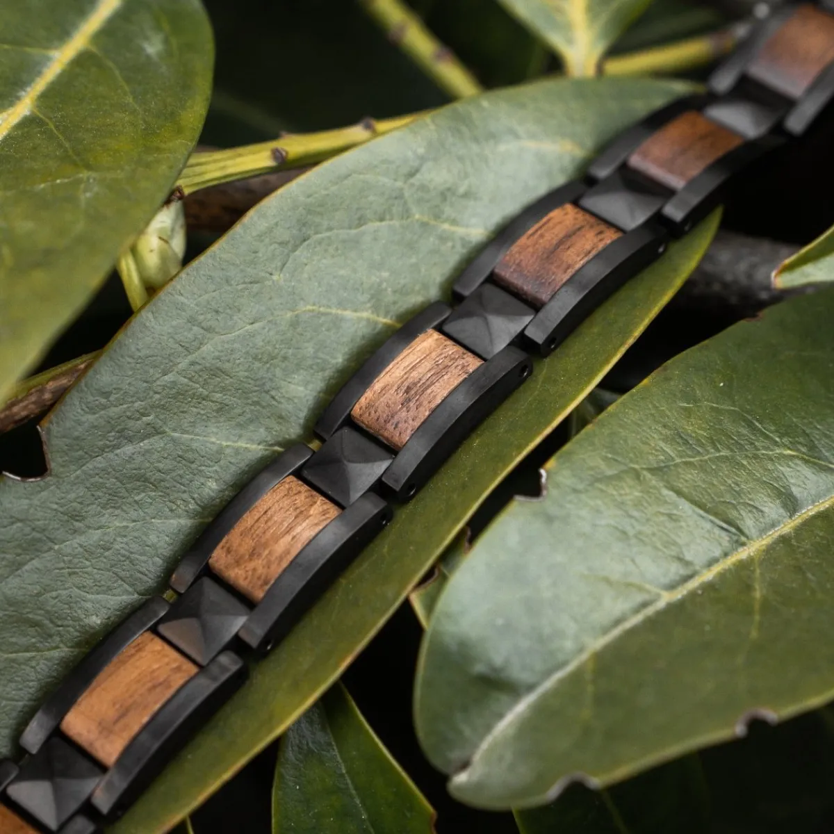 Holzkern Bandlets^Rhapsodie