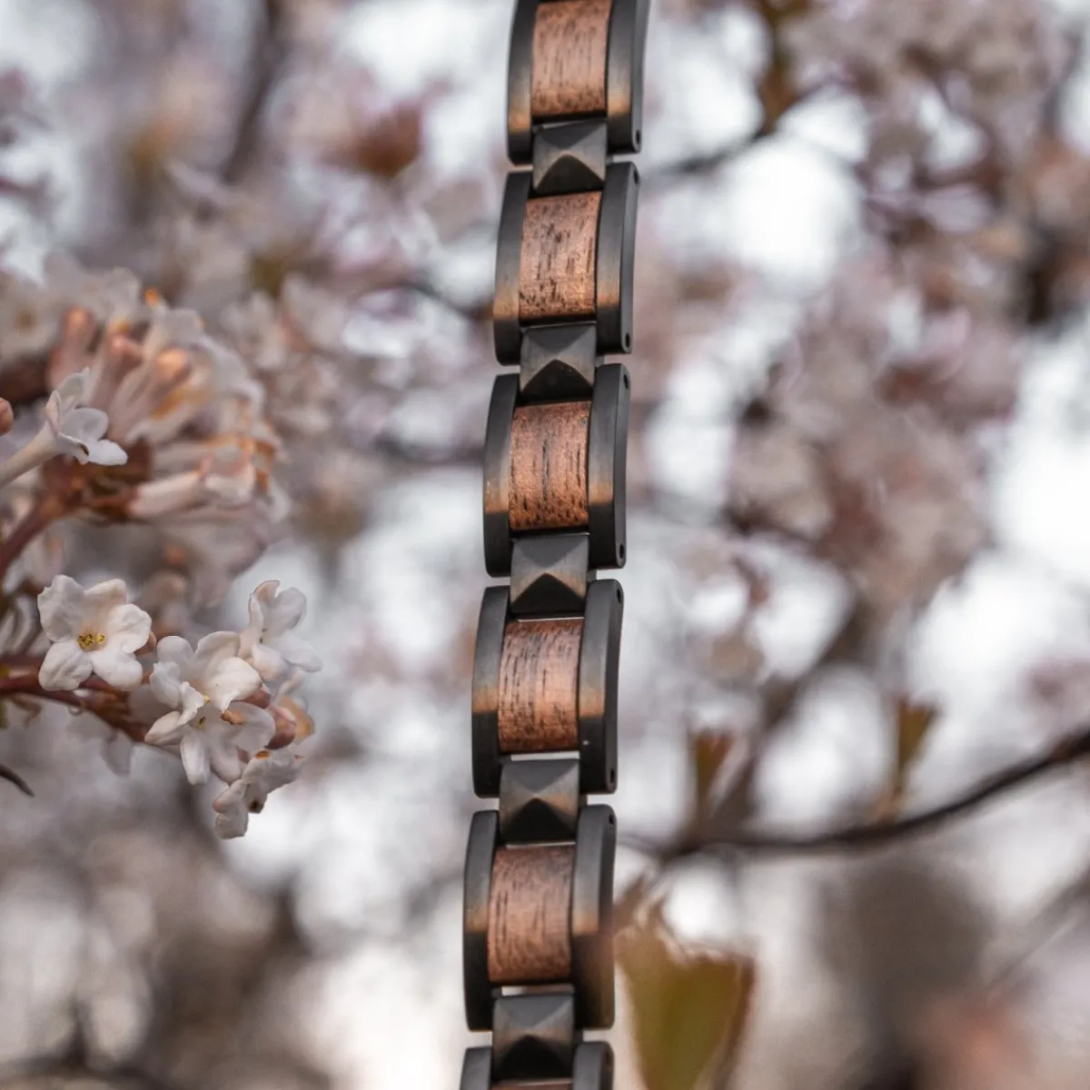 Holzkern Bandlets^Rhapsodie