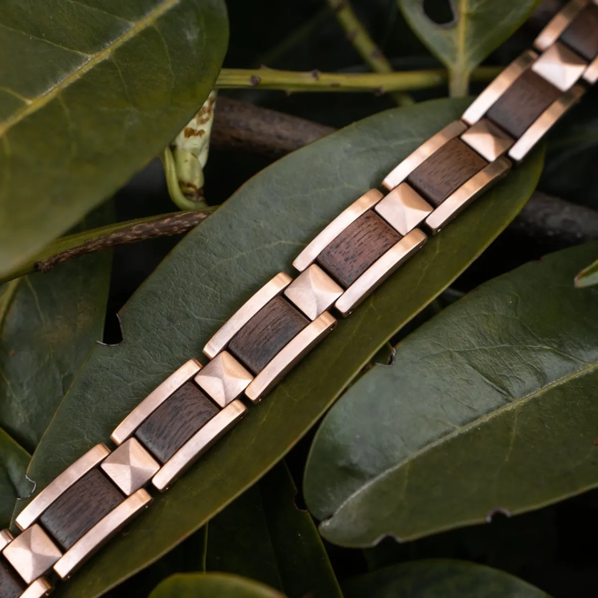 Holzkern Bandlets|Bandlets^Rhapsodie
