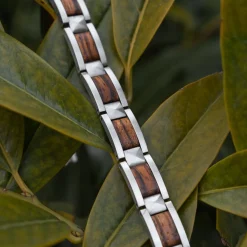 Holzkern Bandlets|Bandlets^Rhapsodie