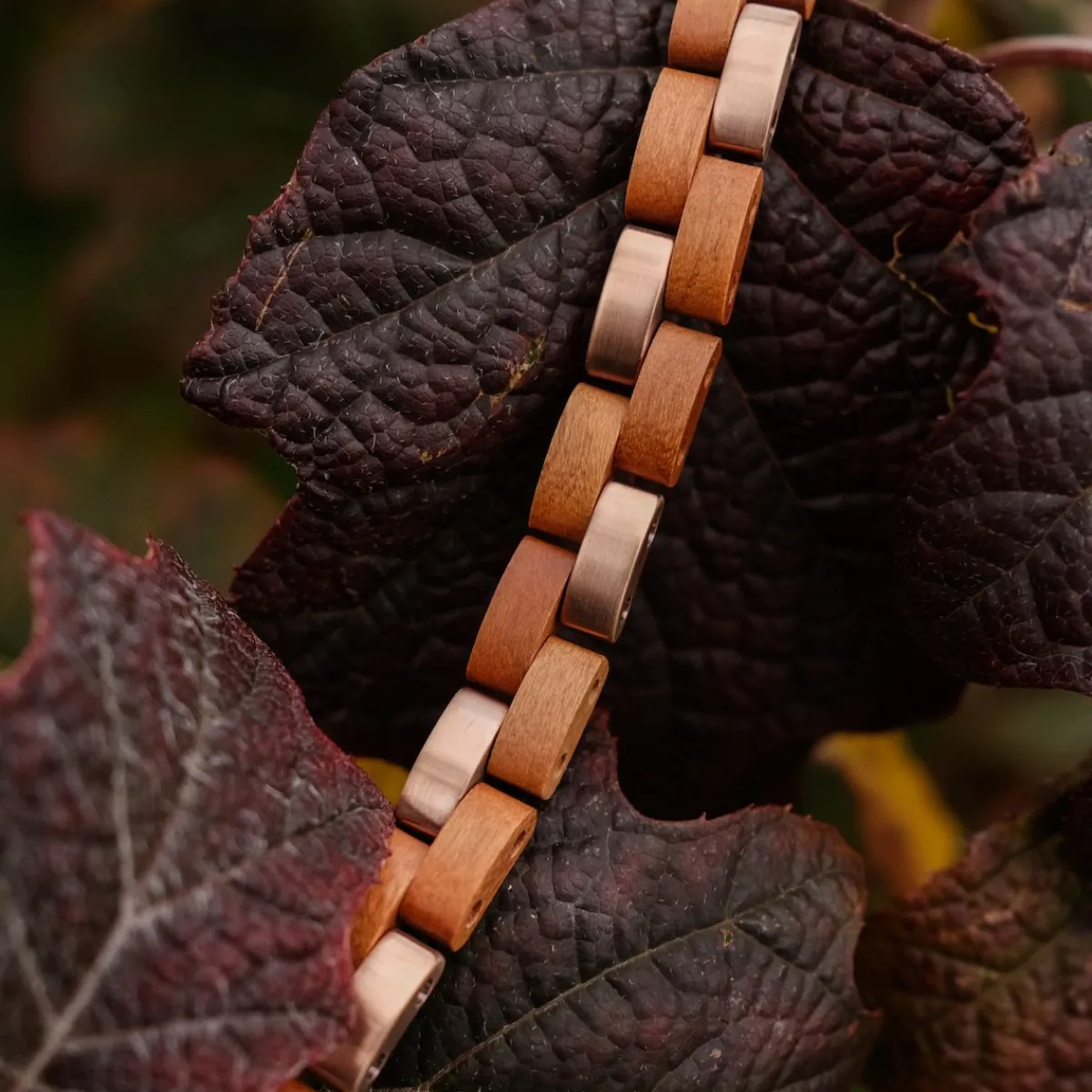Holzkern Bandlets|Bandlets^Rondo