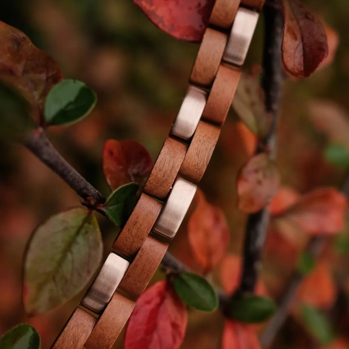 Holzkern Bandlets|Bandlets^Rondo