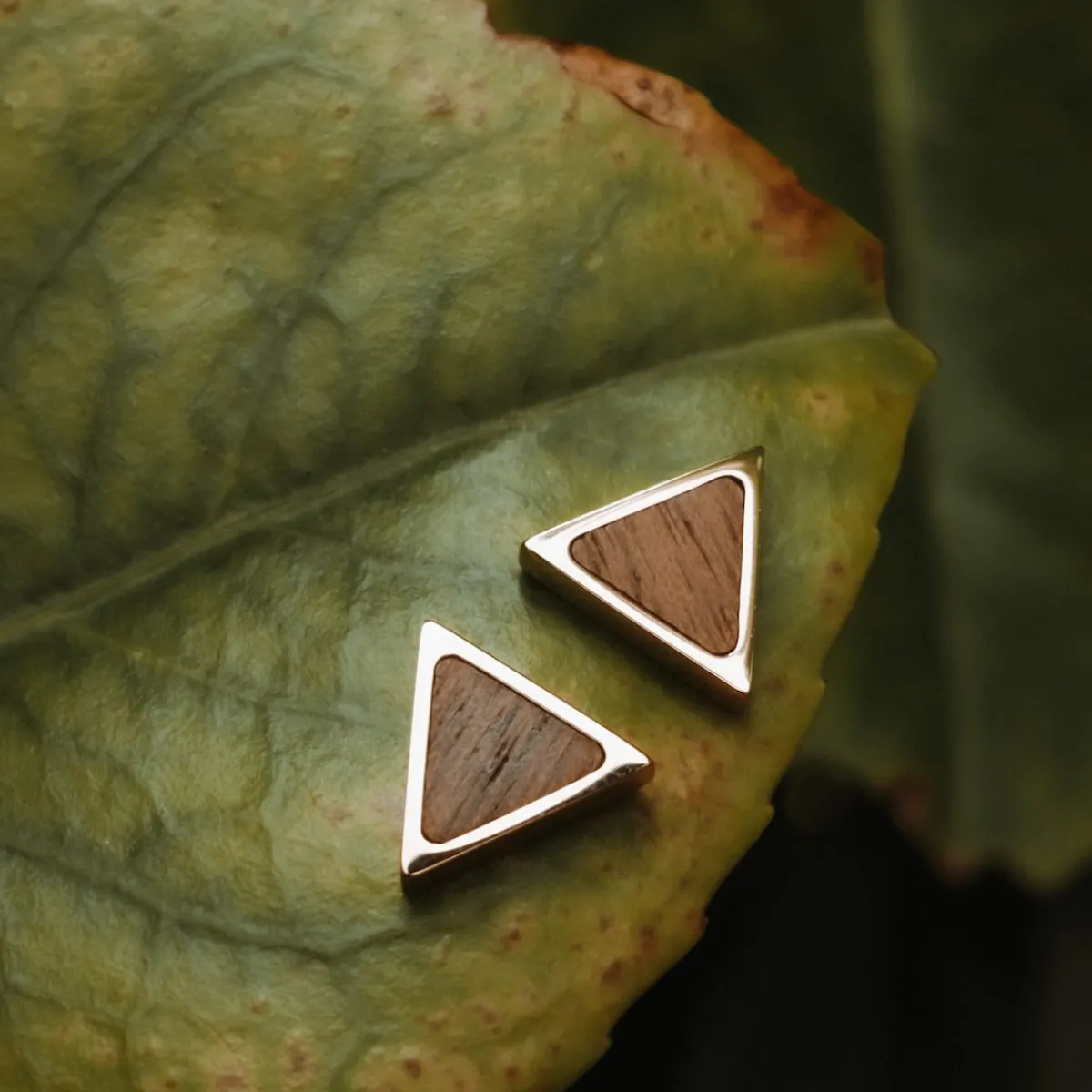 Holzkern Ohrringe|Schmuck^Scale Ohrringe
