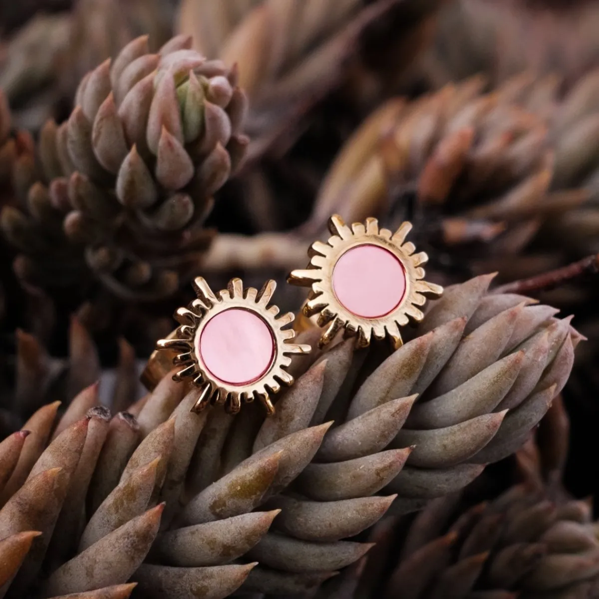 Holzkern Ohrringe|Schmuck^Shade Ohrringe