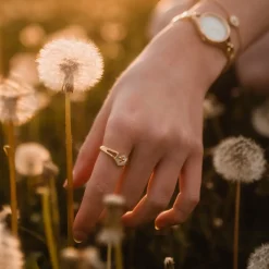 Holzkern Ringe|Schmuck^Spectral Ring