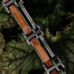 Holzkern Bandlets|Bandlets^Staccato