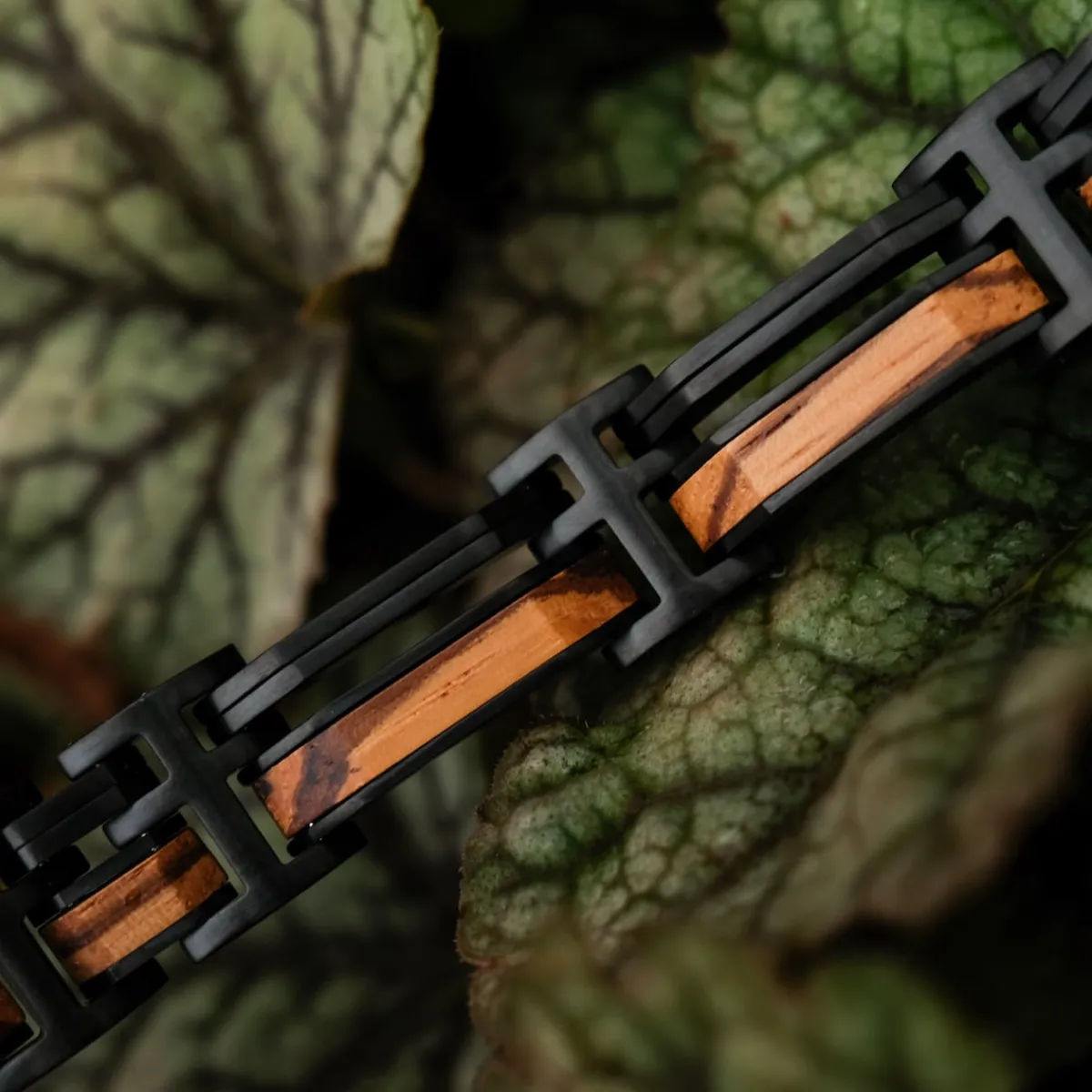 Holzkern Bandlets|Bandlets^Staccato
