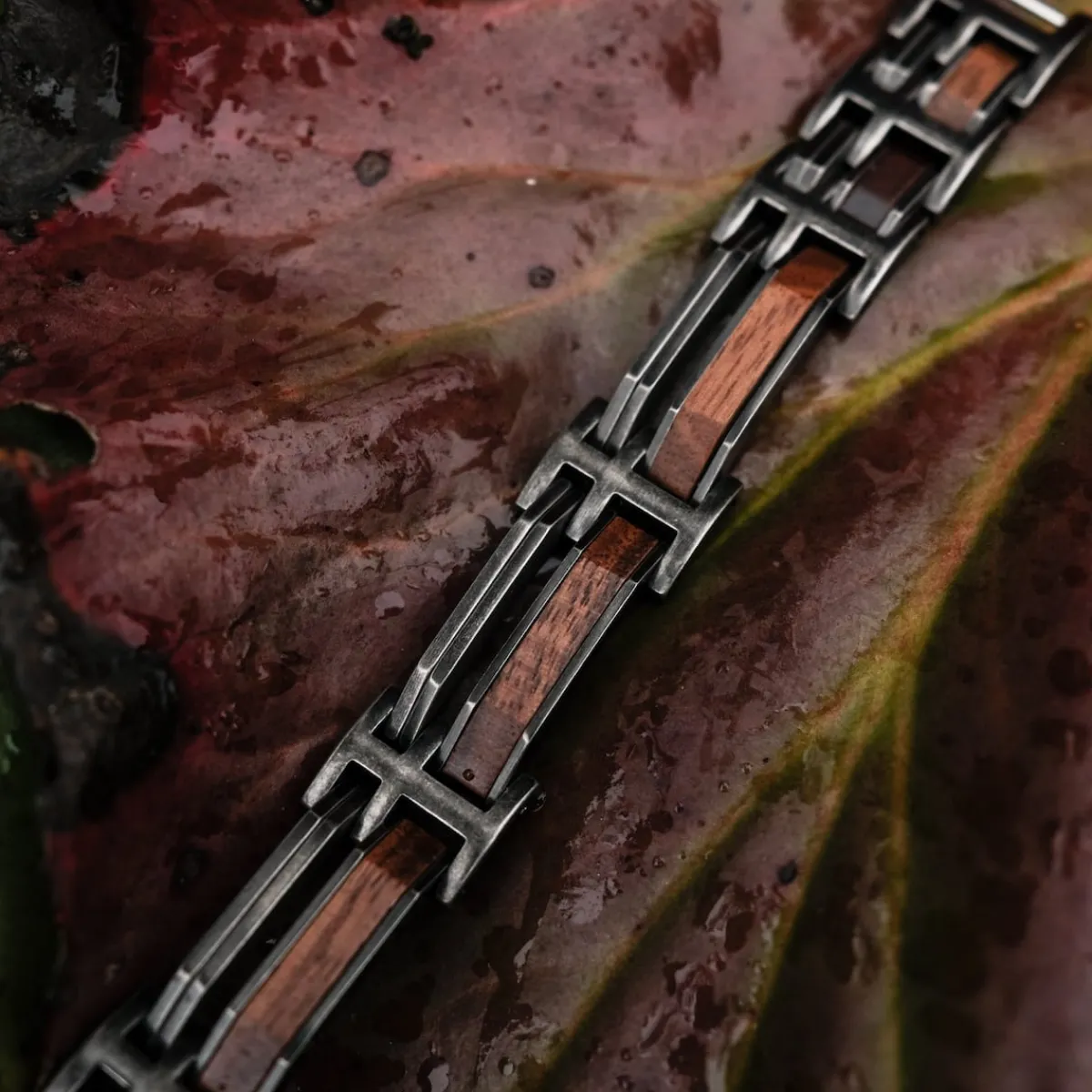 Holzkern Bandlets|Bandlets^Staccato