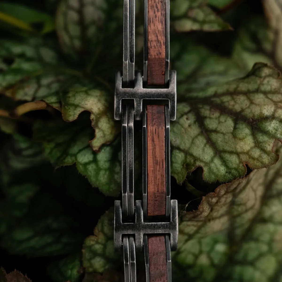 Holzkern Bandlets|Bandlets^Staccato