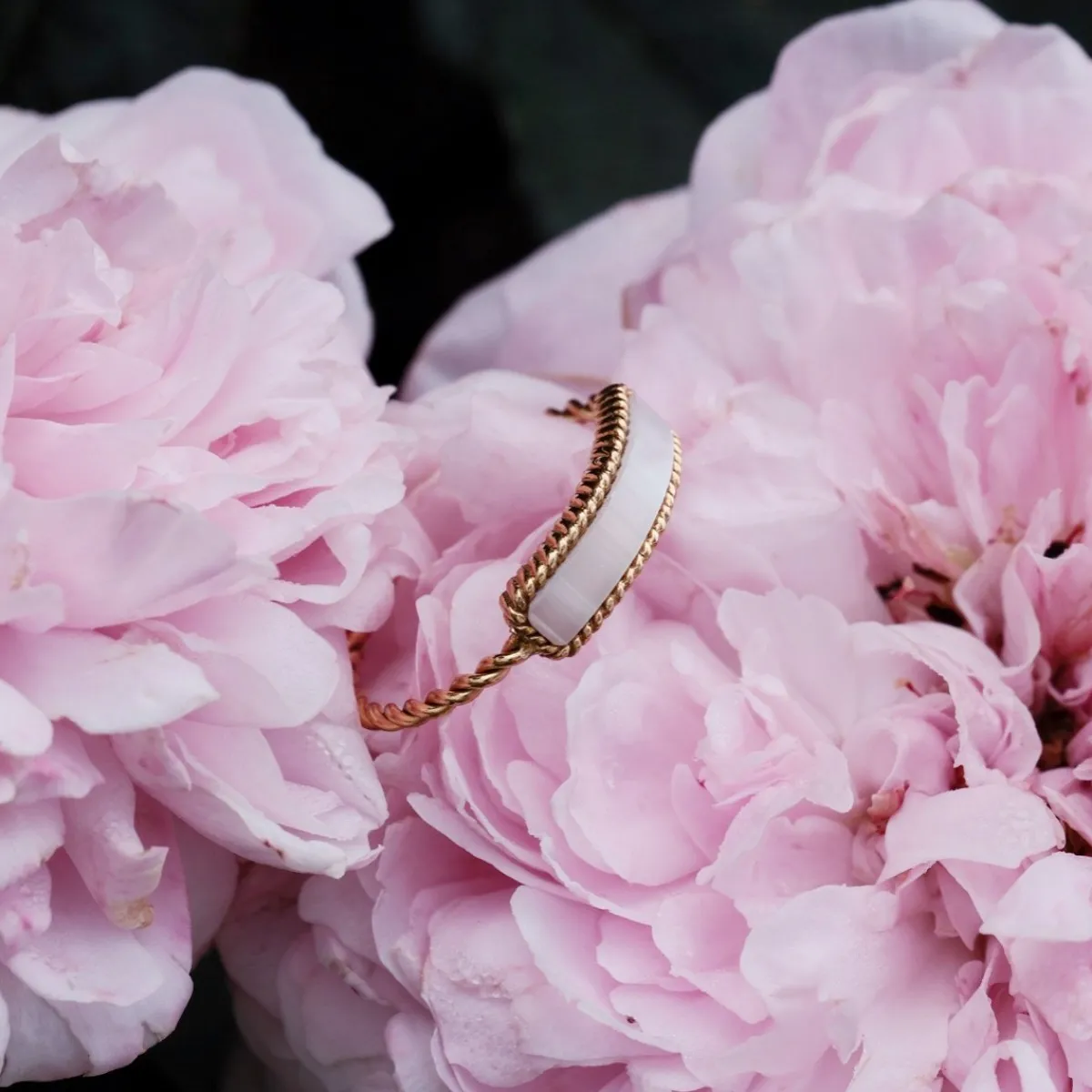 Holzkern Ringe|Schmuck^Summersweet Ring