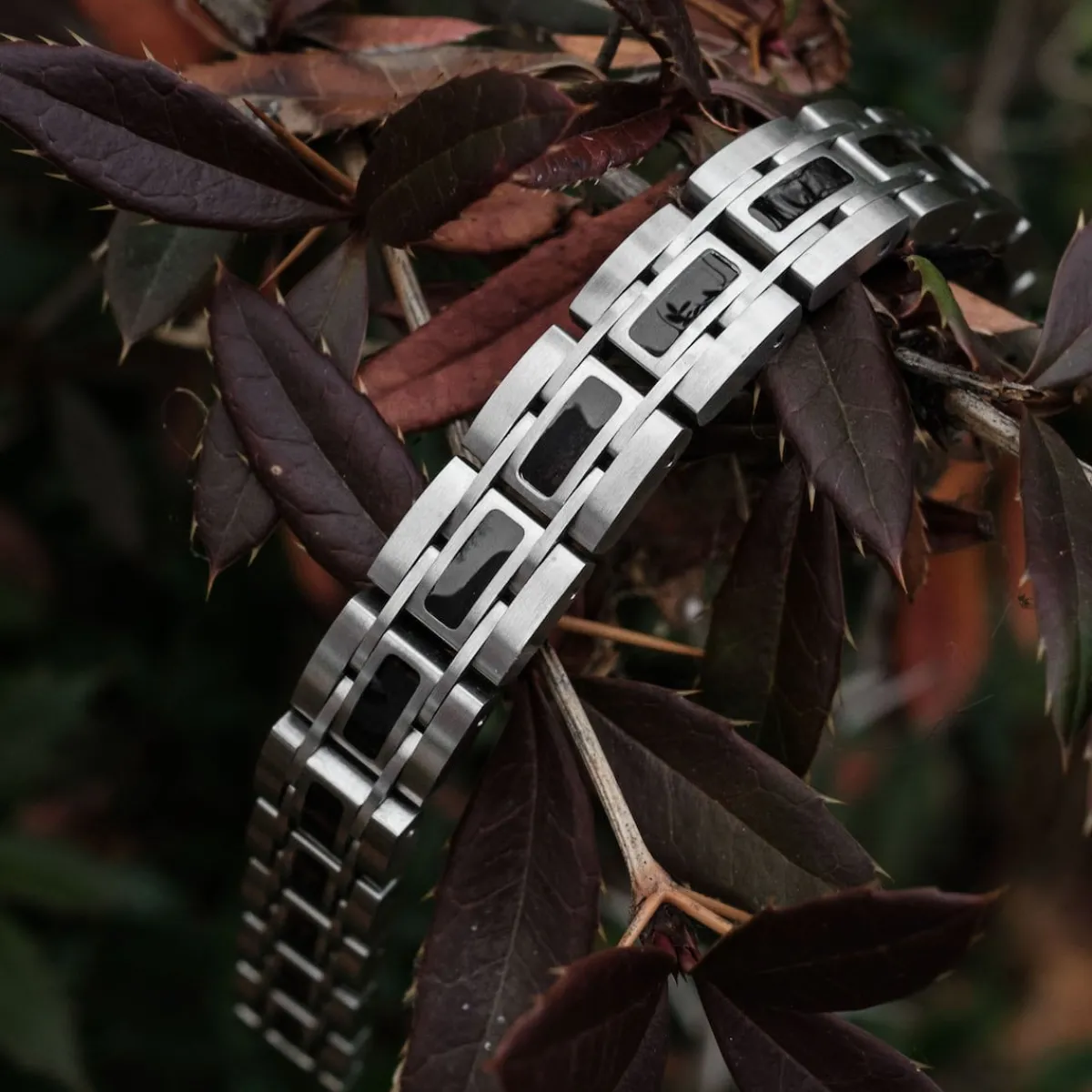 Holzkern Bandlets^Tremolo