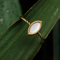Holzkern Ringe|Schmuck^Visual Ring