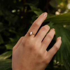 Holzkern Ringe|Schmuck^Visual Ring