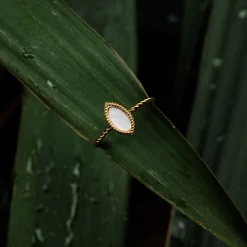 Holzkern Ringe|Schmuck^Visual Ring